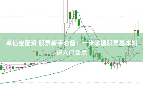 卓信宝配资 股票新手必备：一步掌握股票基本知识入门要点