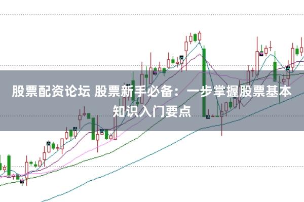 股票配资论坛 股票新手必备：一步掌握股票基本知识入门要点