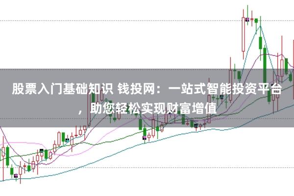 股票入门基础知识 钱投网:一站式智能投资平台,助您轻松实现财富增值