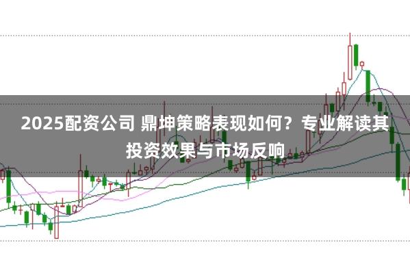 2025配资公司 鼎坤策略表现如何？专业解读其投资效果与市场反响