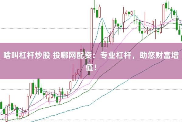 啥叫杠杆炒股 投哪网配资：专业杠杆，助您财富增值！