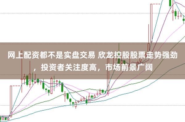 网上配资都不是实盘交易 欣龙控股股票走势强劲，投资者关注度高，市场前景广阔
