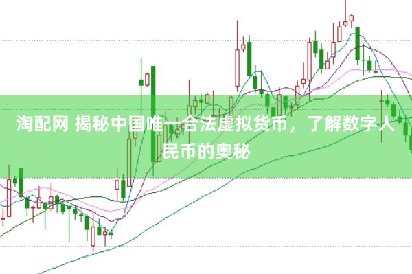 淘配网 揭秘中国唯一合法虚拟货币，了解数字人民币的奥秘