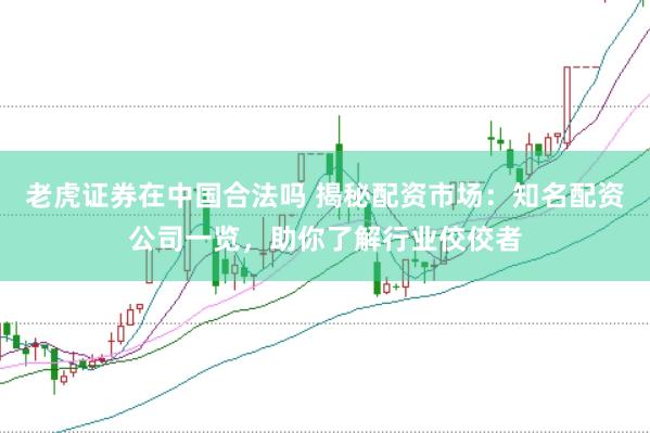 老虎证券在中国合法吗 揭秘配资市场：知名配资公司一览，助你了解行业佼佼者
