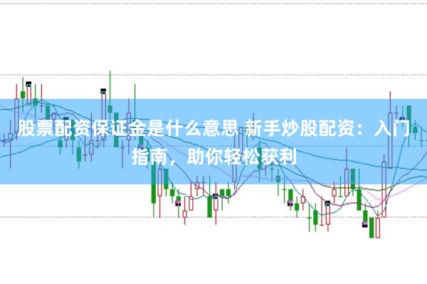 股票配资保证金是什么意思 新手炒股配资:入门指南,助你轻松获利
