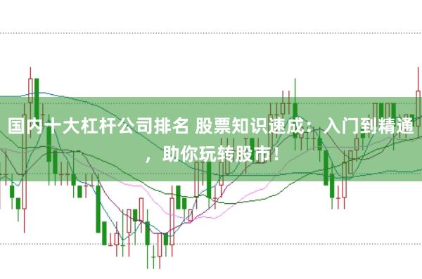国内十大杠杆公司排名 股票知识速成：入门到精通，助你玩转股市！