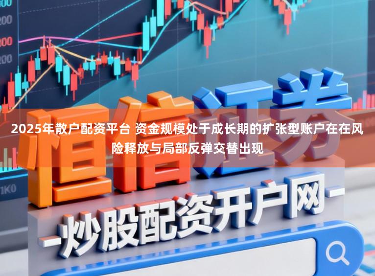 2025年散户配资平台 资金规模处于成长期的扩张型账户在在风险释放与局部反弹交替出现